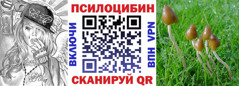 где купить Муравленко Галлюциногенные грибы мицелий