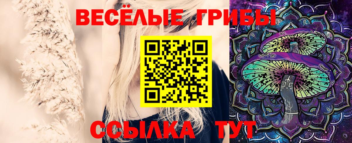 Галлюциногенные грибы Psilocybine cubensis Муравленко