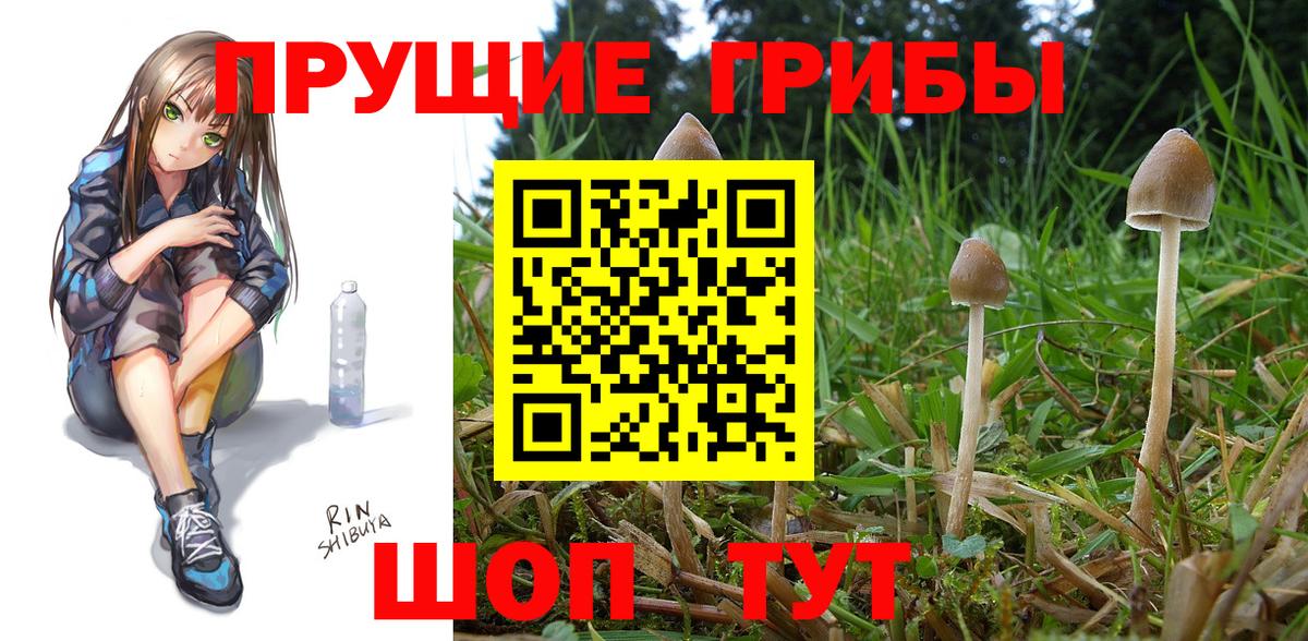 Галлюциногенные грибы MAGIC MUSHROOMS Муравленко