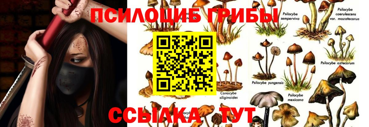 Муравленко  Псилоцибиновые грибы ЛСД  Вход с VPN 