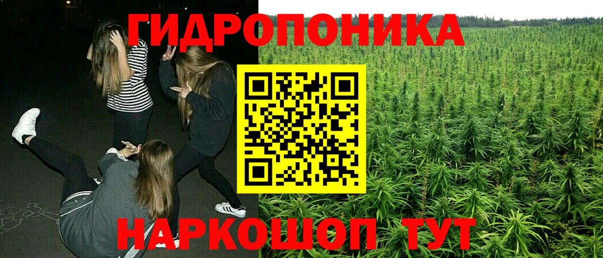 Марихуана White Widow  Бошки марихуана план  Муравленко 